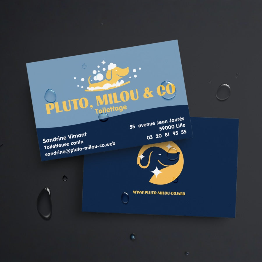 Cartes de visite indéchirables